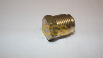p10.jpg